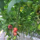 만경농장1 이미지