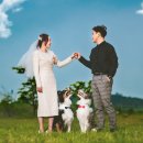 애견가족 이미지