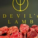 데블스램 이미지