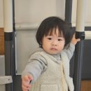 일미한우 이미지