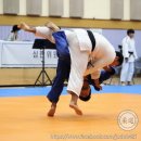 마타(MATA)