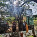 매송낚시터 이미지