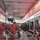 에스휘트니스 이미지