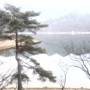 수원지횟집 - 밀양시 삼랑1길 65 | 수원지횟집