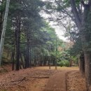 감골공원길 이미지