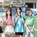 까멜리오 이미지