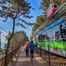 욜로오이소 이미지