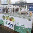 서롤 이미지