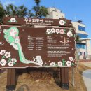 동산숲협동조합 이미지