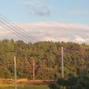 동산흑염소 이미지