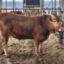 중우축산 이미지