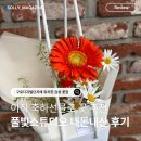 [구디역 꽃집] 남자친구 첫 출근 기념 꽃 선물 내돈내산 '풀빛 스튜디오' 후기 및 거베라 꽃말 추천