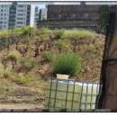 성무정공원 이미지