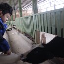 은하목장 이미지