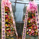 노용래농장 네이버블로그