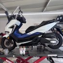 엔젤모터스 | 혼다 포르자 350 피렐리 엔젤스쿠터,F패드,오일교환