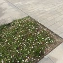 유럽여행 여섯째날 바르셀로나 가우디 반일투어 솔직후기| 까사바트요·구엘공원·사그라다 파밀리아까지