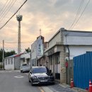 불수성풍천장어 이미지