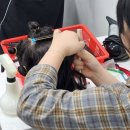 금남로 | 헤어자격증 국비지원으로 한 달 20만 원대? 금남로미용학원 후기