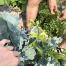 호현농장 이미지