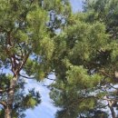 화창행정사 사무소 이미지