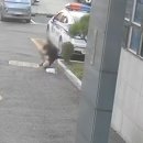 능곡파출소 이미지