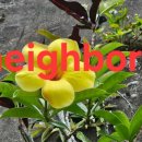 For delay dementia 1,290 Power english 이미지