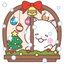 우리애견 이미지