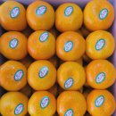 삼춘네 하우스 이미지