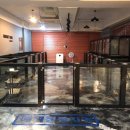 강아지집 미용실 이미지