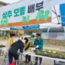 친환경나눔텃밭 이미지