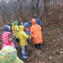 도토리숲속학교 이미지