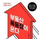 [독서후기]부동산 폭등장이 온다/이현철 소장
