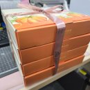 광수세탁 | [30주 ~ 34주] 셀프 만삭사진 촬영, 동구보건소 요가, 아기빨래 시작