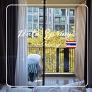 팜스프링 | [치앙마이 한달살기] 님만해민 팜스프링 솔직 후기