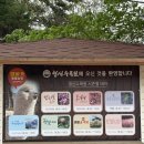 [태안] 데이트, 아이랑 함께 가면 좋은 청산수목원 후기