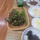 돈미돈미 이미지