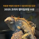 렙타일코리아 | 2025 코리아 렙타일포럼 수원 파충류 박람회 방문후기 네온데이게코 입양
