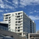 애니타임 호텔 | 안전한 동네 만족스러웠던 시드니 호텔 &amp; 숙소 실캐리 스위트 앳 채스우드