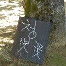 간절하면 이루어지리 | 서산 가볼만한곳 개심사와 해미읍성 당일치기 좋아요~