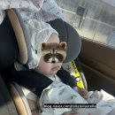 신라산부인과의원 이미지