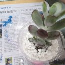 합포여자중학교 이미지