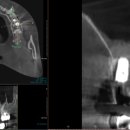 365안락한치과의원 이미지