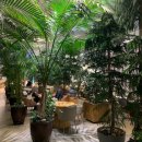 이레허브 | 하남 미사 대형 카페 홍종흔베이커리 분위기 좋은 플랜테리어 감성