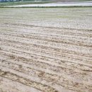 솔돌마을 이미지