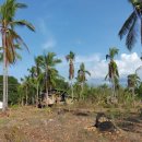 화전민촌 이미지