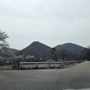 연조2리_마을회관 | [경상북도 문경 벚꽃 여행] 마성면 신현2리 정현마을 (못고개마을) 벚꽃명소 방문 후기