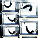 바디그리기 | 도남동헬스장 제주시 헬스 PT pt 피티 바디그리기 가격 이벤트 후기