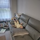 롯데쇼핑(주)롯데마트 장암점 | 롯데시네마 대구율하점 / 5살 어린이 고고다이노 관람후기