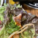 돈돼지먹어봐 이미지